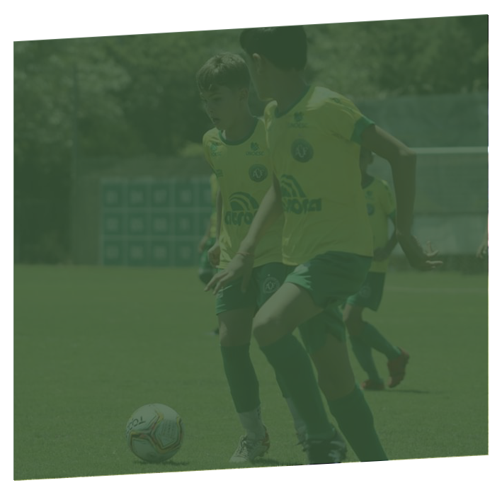 Participe de Torneios Oficiais